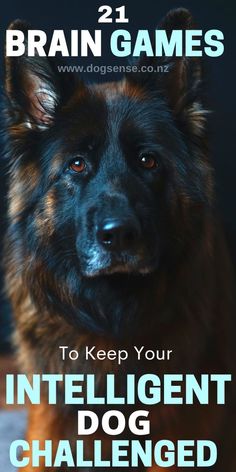 a german shepherd dog with the words, 21 brain games to keep your intelligent dog challenged