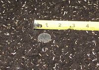 a measuring tape is on the ground next to some dirt and small pieces of metal