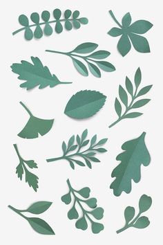 paper cut out of leaves and branches on a white background