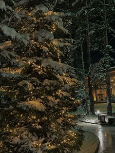 a snow covered tree sitting in the middle of a park next to a building at night