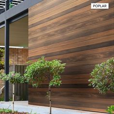 three trees in front of a building with wooden slats on the walls and windows