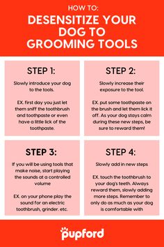 the steps to grooming your dog