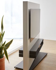 a potted plant sitting on top of a wooden floor next to a tv stand