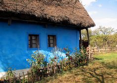 a small blue house with a thatched roof and flowers growing in the front yard