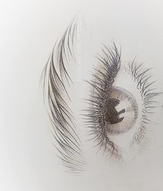 Eyebrow Sketch, Drawn Eyebrows, Brows Drawing, Sketching Eyes, Eyebrow Art, Brow Art, Phi Brows