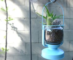 a blue hanging planter with a succulent in it's glass container