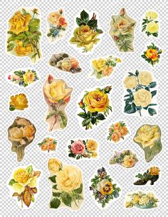 an assortment of flowers stickers on a white background