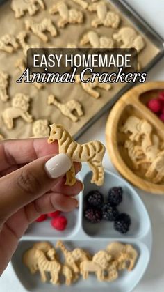 a person holding a cookie in their hand with the words easy homemade animal crackers