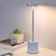 a white table lamp sitting on top of a desk next to a potted plant