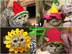 four pictures of cats wearing crocheted hats and sunflowers on their heads