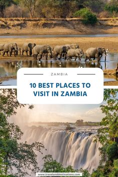 the top 10 best places to visit in zambea, africa with text overlay