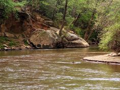 a river with rocks and trees in the background