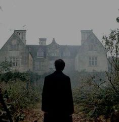 a man standing in front of a large building on a foggy day with trees and bushes