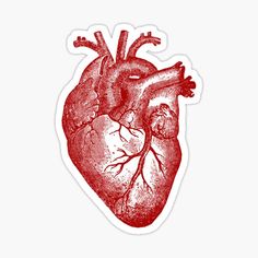 the human heart sticker is shown in red