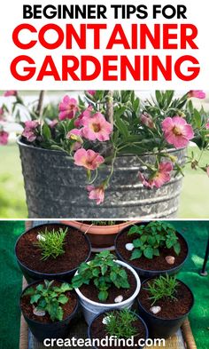 the beginner's guide to container gardening with text overlay that says, beginner tips for container gardening