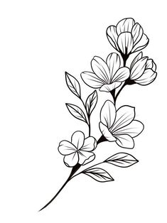 flowers are drawn in black and white on a white background, with the outline of leaves