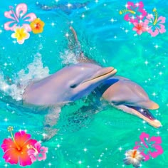 two dolphins are swimming in the water with flowers and butterflies on it's back