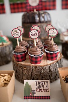 some cupcakes sitting on top of a tree stump in front of other desserts