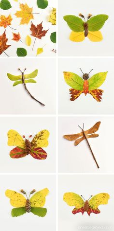 several different types of leaves and insects on a white background with text overlay that says how to make paper butterflies