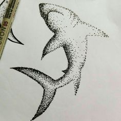 a drawing of a shark is shown on paper