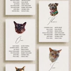 four cards with cats and dogs on them, one has the names of each cat