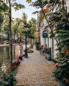 a cobblestone street lined with potted plants next to a river filled with flowers