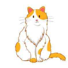 an orange and white cat sitting on the ground