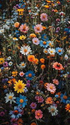 many different colored flowers in a field