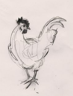 a black and white drawing of a rooster