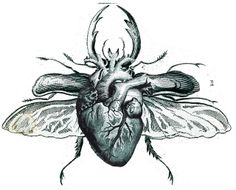 a drawing of a heart with wings attached to it's body and an antelope on its back