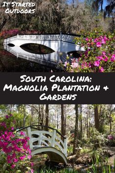 a white bridge over water with pink flowers in the foreground and text that reads south carolina, mahonia plantation & gardens