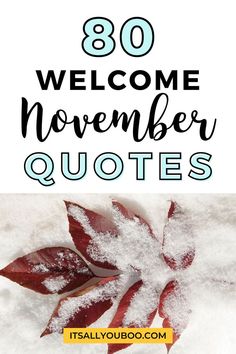 80 welcome November quotes with a leaf in the snow Good Bye November Quotes, Winter Aesthetic Quotes, Hello November Quotes, November Poem, Leaf Quotes, Welcome Quotes, Welcome November, November Quotes, Short Instagram Captions