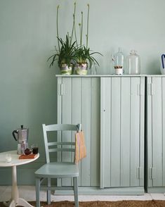 two chairs and a table in a room with plants on top of the cupboards