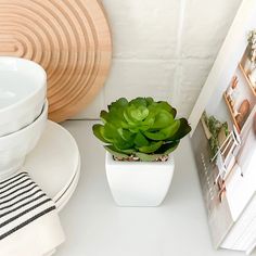 a small potted plant sitting on top of a table next to a plate and bowl