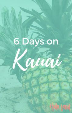 a pineapple with the words 6 days on kauai