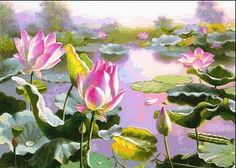 pink water lilies and lily pads on the edge of a pond