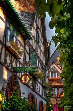 an old building with many windows and plants growing on the side of it's sides