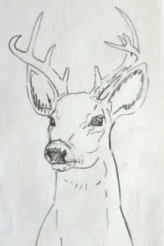 a drawing of a deer with antlers on it's head