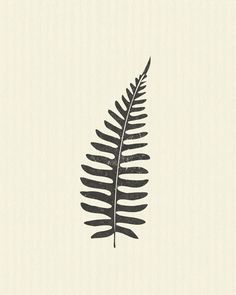 a black and white drawing of a fern leaf on a cream colored wallpaper background