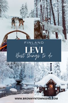 several pictures with the words finland levi best things to do in front of them, including dogs