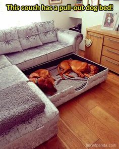 two dogs laying in a dog bed on the floor next to a couch and coffee table