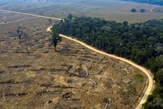 an aerial view of a dirt road in the middle of a field with trees on both sides