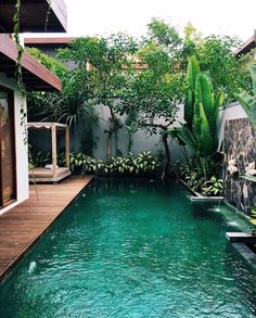 an outdoor swimming pool surrounded by greenery