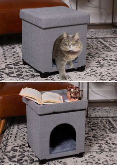 two pictures of a cat in a dog house with a book on the floor and another photo of a cat inside