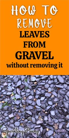 the words how to remove leaves from gravel without removing it on an orange and black background