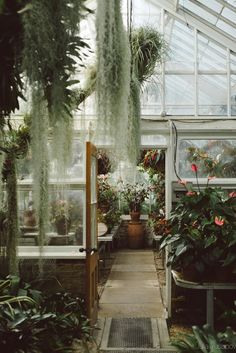 the inside of a greenhouse filled with lots of plants