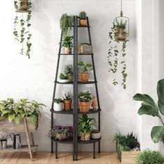 a tall shelf filled with potted plants on top of a wooden floor