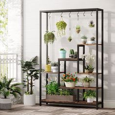 a shelf filled with potted plants in front of a wall mounted planter rack