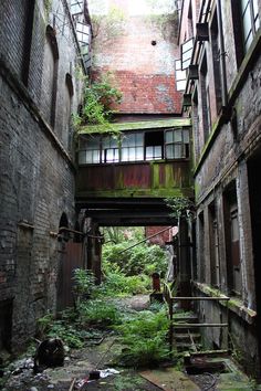 an old building with lots of plants growing on the walls and stairs leading up to it