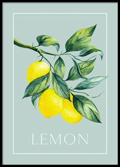 lemons with leaves and the word lemon written in white on a light blue background